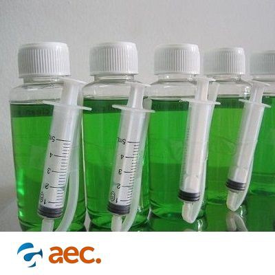 Dung dịch nước ngâm đầu phun chuyên dụng của hãng Epson  chai 100ml