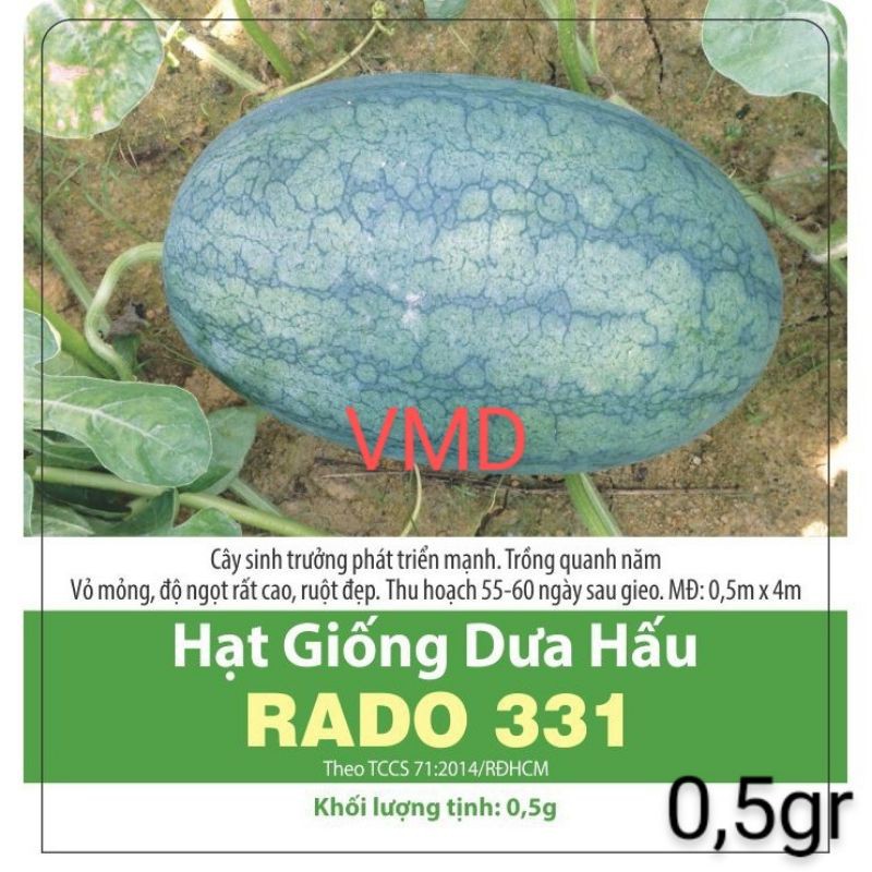 Hạt giống Dưa Hấu