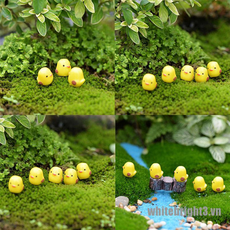Set 3 / 5 Mô Hình Gà Con Mini Trang Trí Sân Vườn