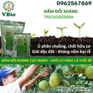 1kg EM bột + 1kg Nấm đối kháng Trichoderma Bacillus