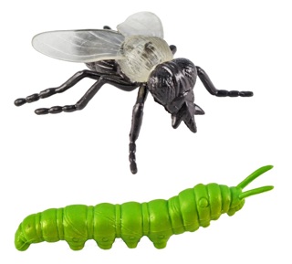 MÔ HÌNH CÔN TRÙNG SAFARI