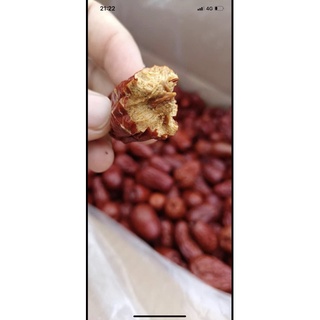 TÁO ĐỎ TÂN CƯƠNG 1KG