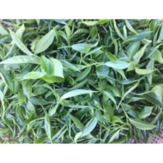 1,5kg chè búp thái nguyên