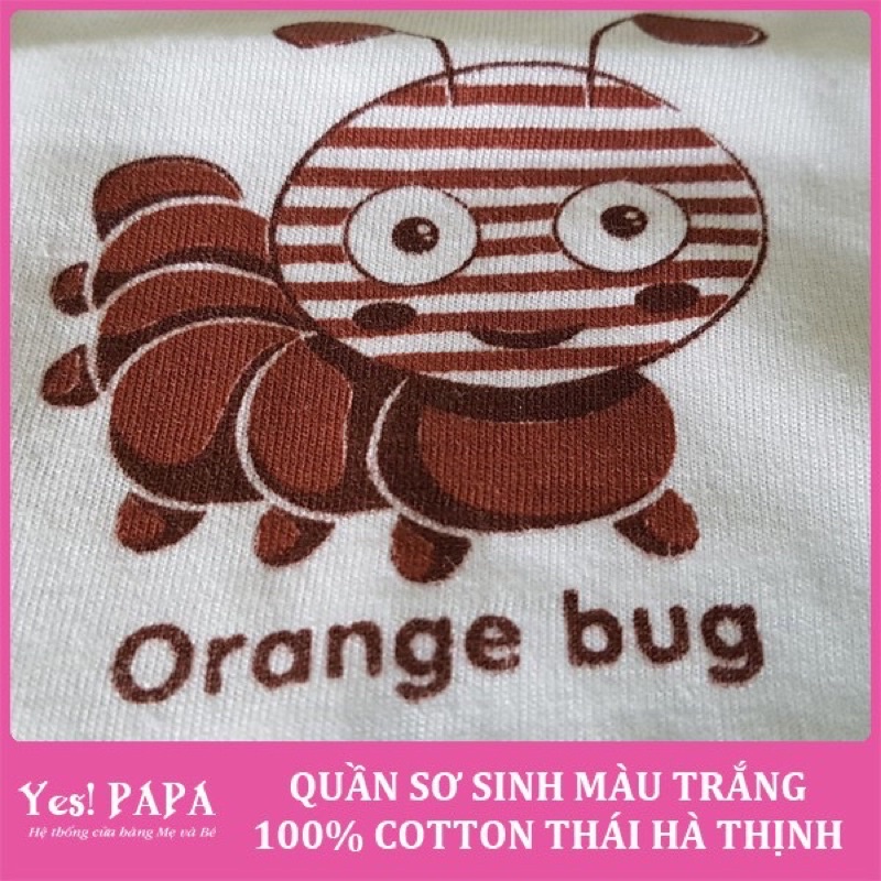 Quần dài sơ sinh cotton đẹp Thái Hà Thịnh trắng