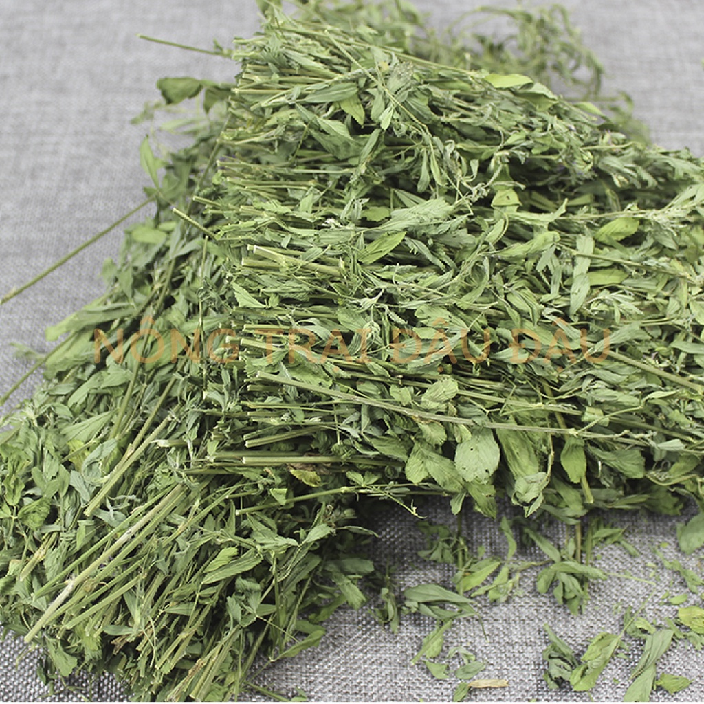 Cỏ Alfalfa hiệu Jolly nguyên cành thơm ngon và xanh dành cho Thỏ, Bọ Ú (Chuột Lang), Chinchilla JP52 - 500g