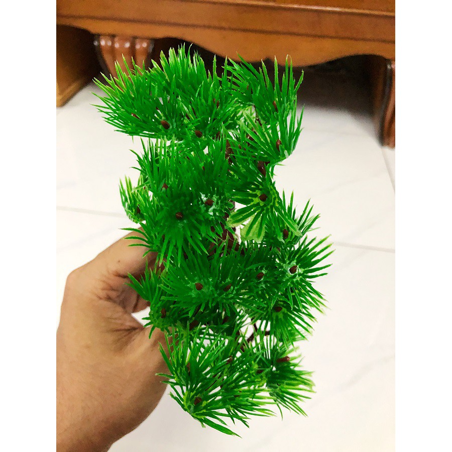 CÂY THÔNG TRANG TRÍ HỒ CÁ NON BỘ CAO 15CM