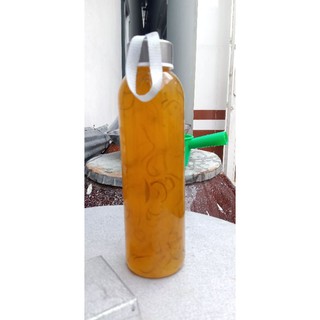 combo bình thuỷ tinh 500ml