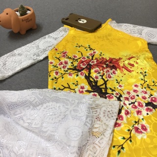 Set áo dài váy đụp