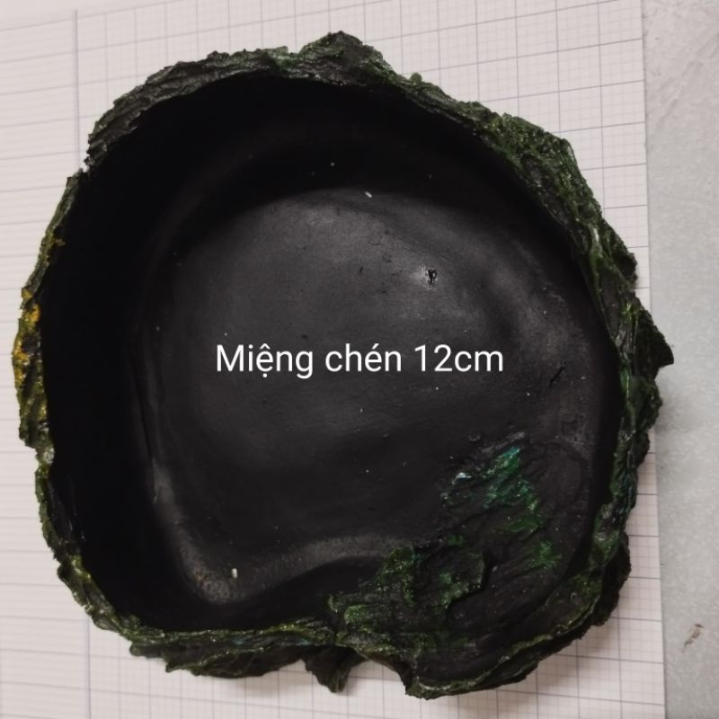 Chén ăn cho bò sát, ốc cảnh. OMH Biên Hòa