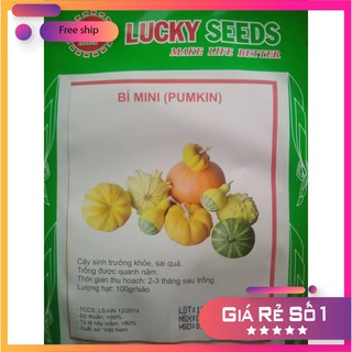 HẠT GIỐNG BÍ MINI MIX (10HẠT) LUCKY.VN