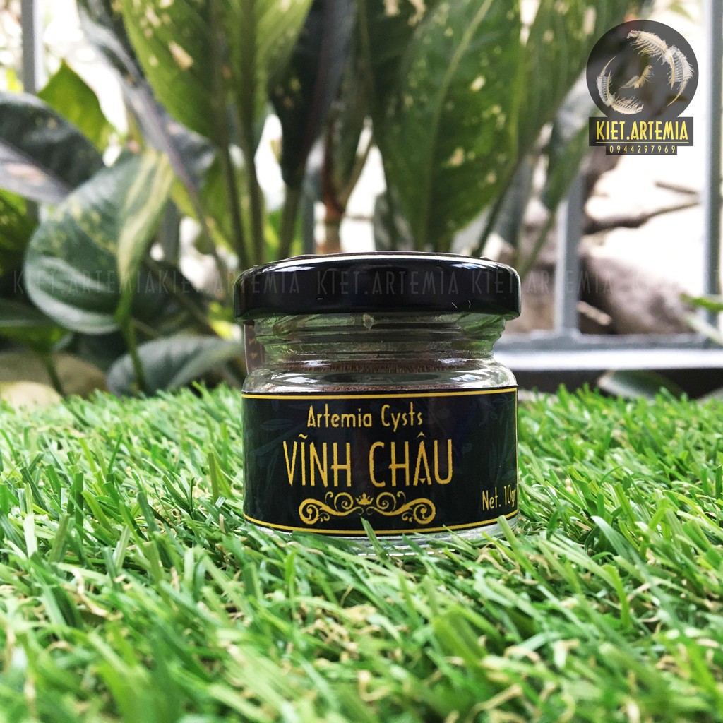 Trứng Artemia Vĩnh Châu Cao Cấp