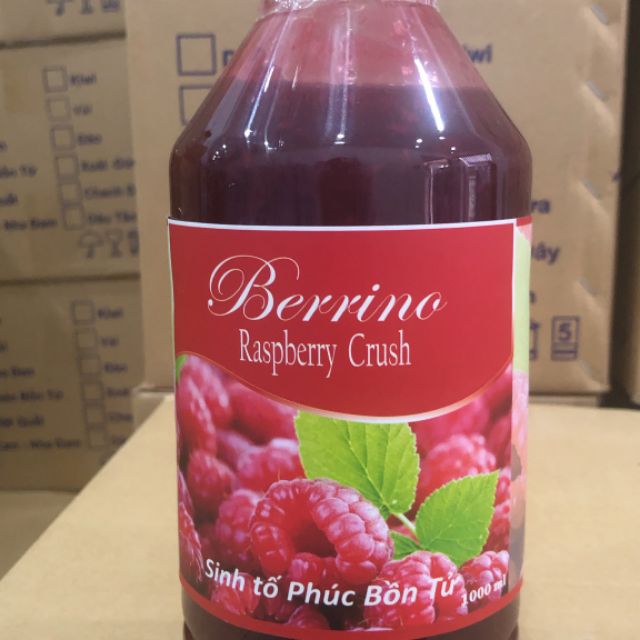Sinh tố phúc bồn Tử Berrino