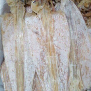 Mực khô câu Vân Đồn, size 6-8con/1kg