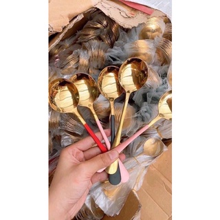 Thìa inox mạ vàng nhiều màu sang trọng - set 5 thìa mạ vàng - t2k shop