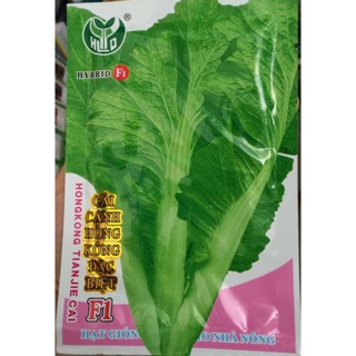 Hạt giống Cải Canh Hồng Kông 🌱