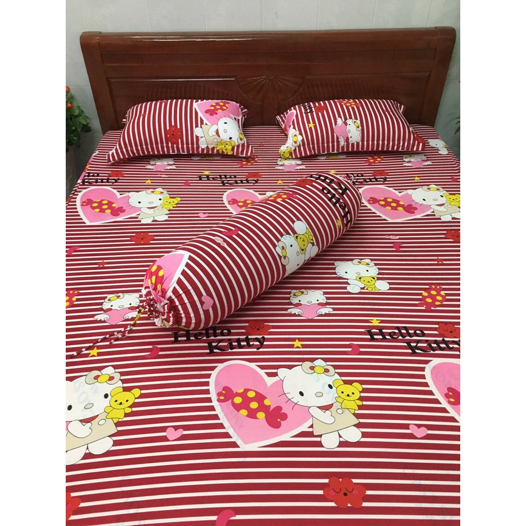 Bộ ga vỏ gối thun hàn quốc 1m2*2m