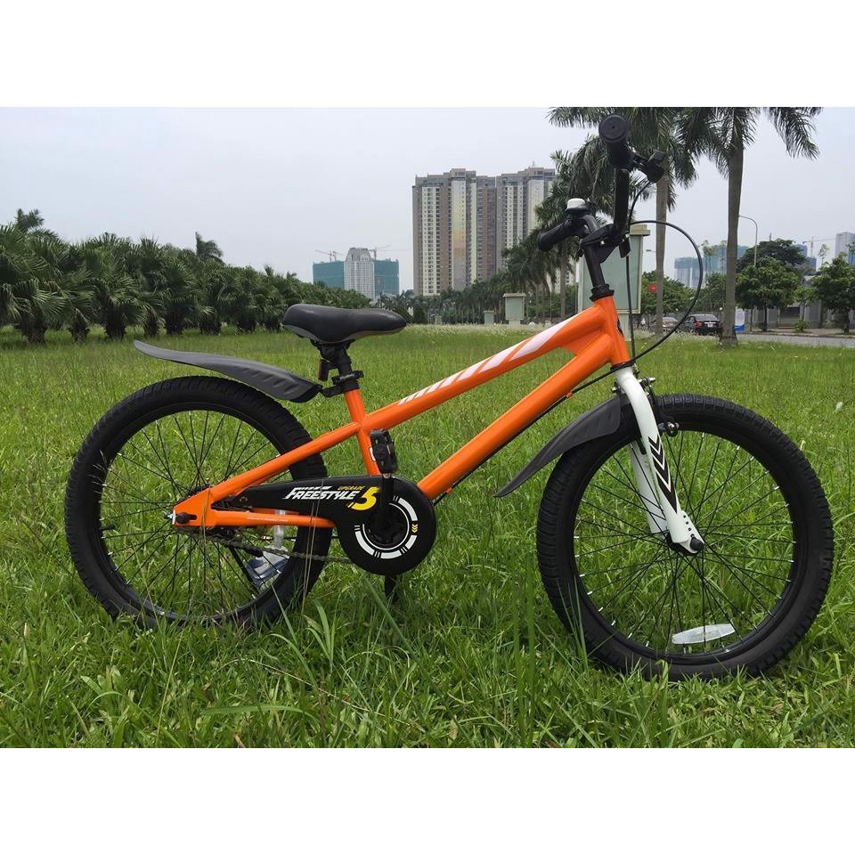 XE ĐẠP TRẺ EM ROYAL BABY FREESTYLE RB20B-6 CHO BÉ 7-12 TUỔI