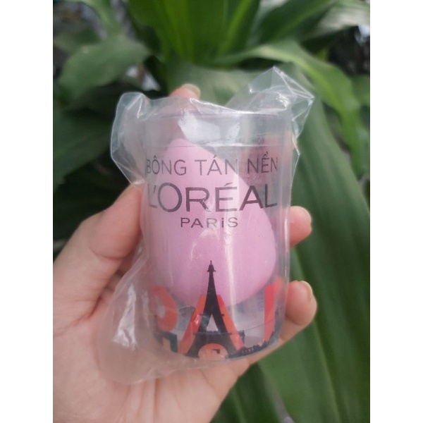 Mút tán kem nền Fit me Puff Maybeline/LOREAL