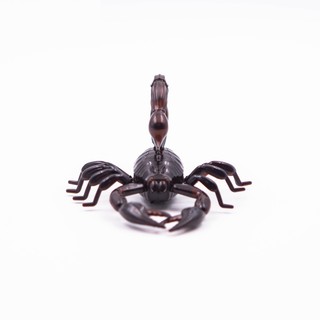 Bộ sưu tập CON VẬT - CUA/ ẾCH/ BỌ CẠP/ BỌ NGỰA điều khiển từ xa