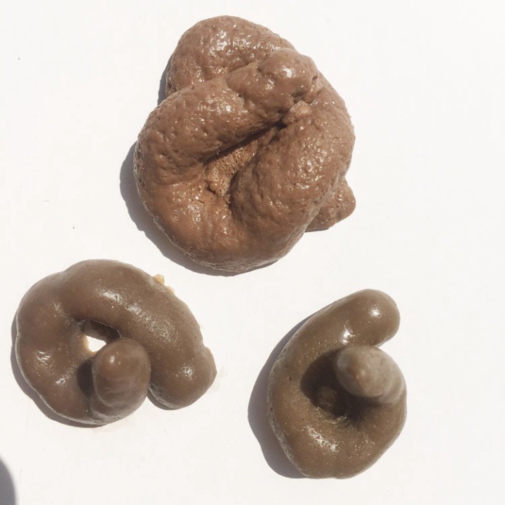 1 cục shit nhỏ mềm giống như thật đồ chơi bóp mềm mô phỏng phân chó giải trí cao
