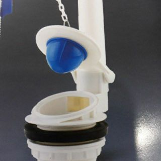 CÓC KÉT NƯỚC BỒN CẦU - CÓC CHẮN NƯỚC