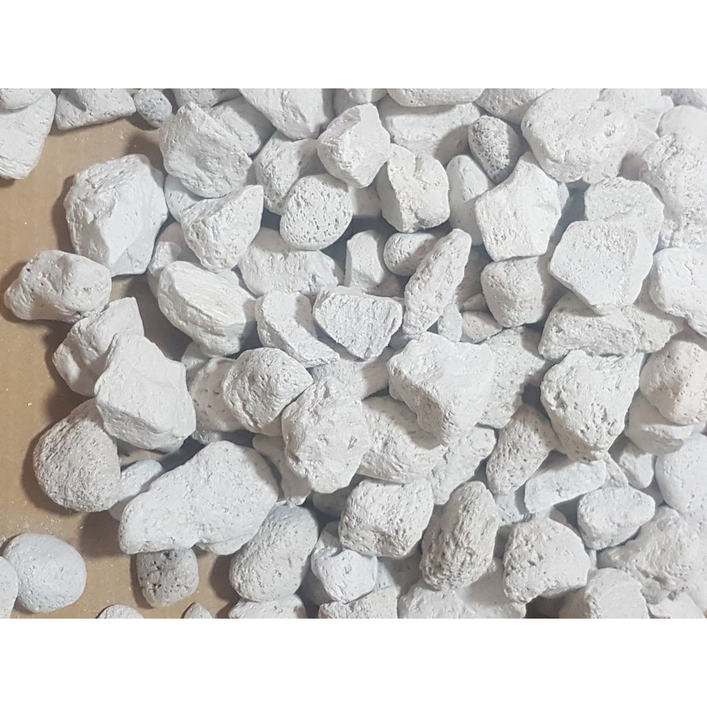 Đá Bọt Indo giá thể trồng Lan, sen đá, cây cảnh, thủy sinh  1kg
