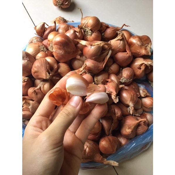 500g Hành Khô củ to đều thơm ngon - hành khô loại 1