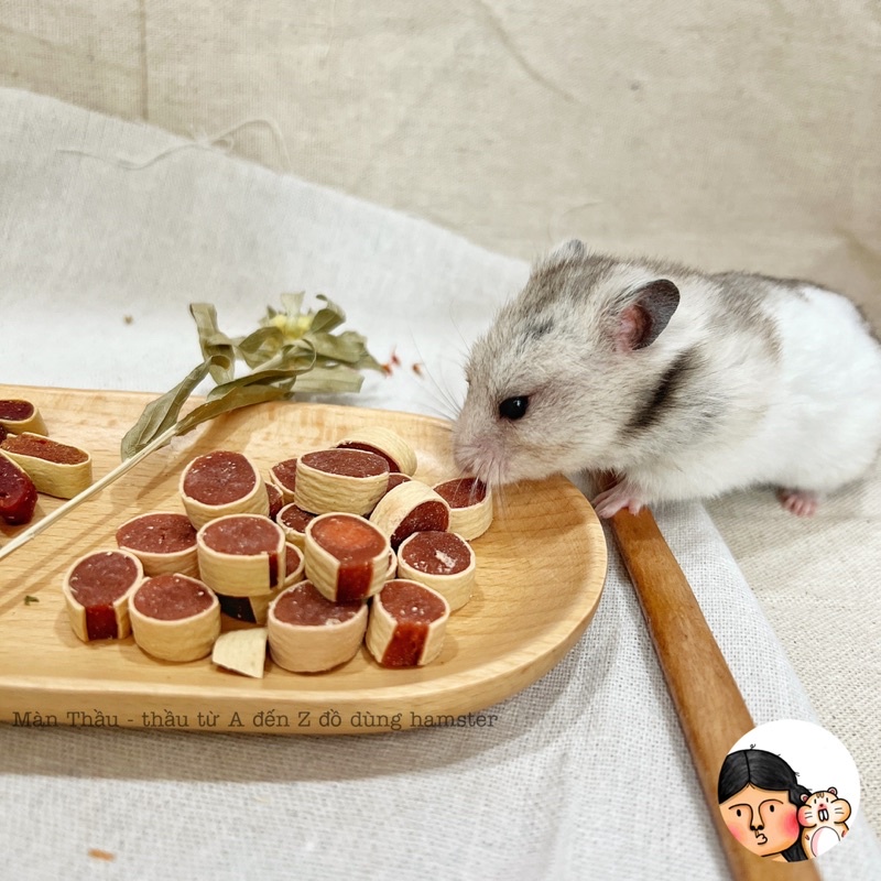 Sushi thịt bò cuộn dành cho Hamster