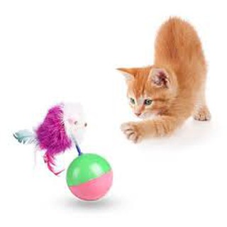 Đồ chơi cho mèo - bóng chuột lông lật đật