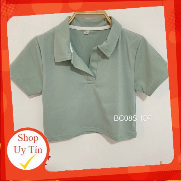 Xả Áo Thun Croptop cổ bẻ 4 Màu (Trắng - Đen - Tím - Xanh ) 🌼