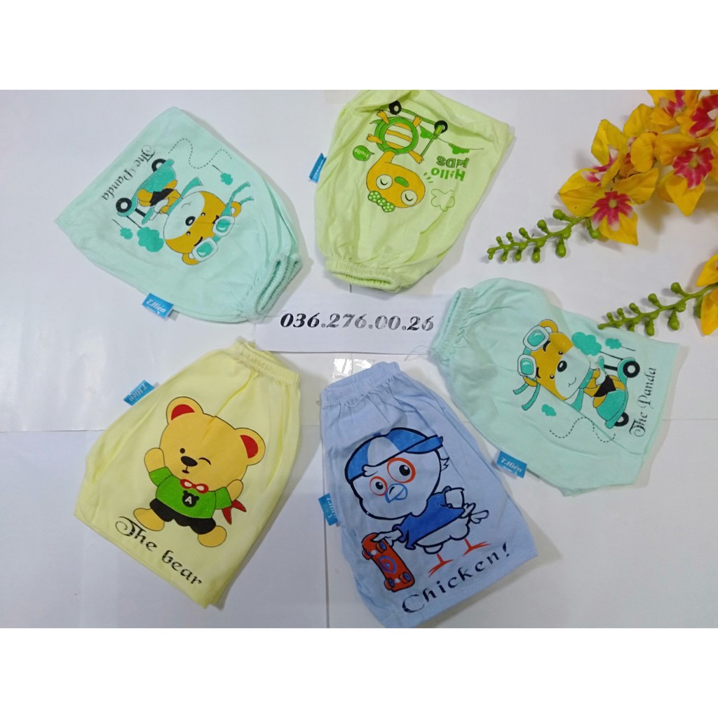 Combo 5 Quần đùi cotton mềm mại HÀNG VN CAO CẤP