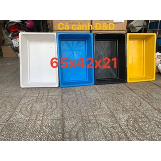 Khay Nhựa Nuôi Cá (combo 3 cái ): màu Xanh ,Đen, Trắng , Vàng - 65x42x21