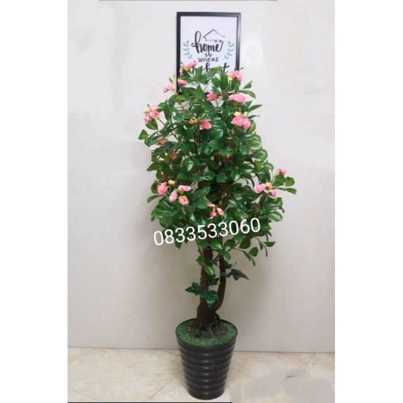 Cây hoa trà liền thân cao 1m6.Cây giả trang tri nhà cửa.Ko kèm chậu-Hoaluaminhhoa