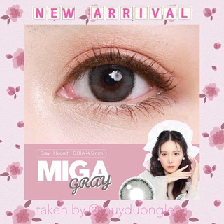 [Kính Áp Tròng] Miga Gray