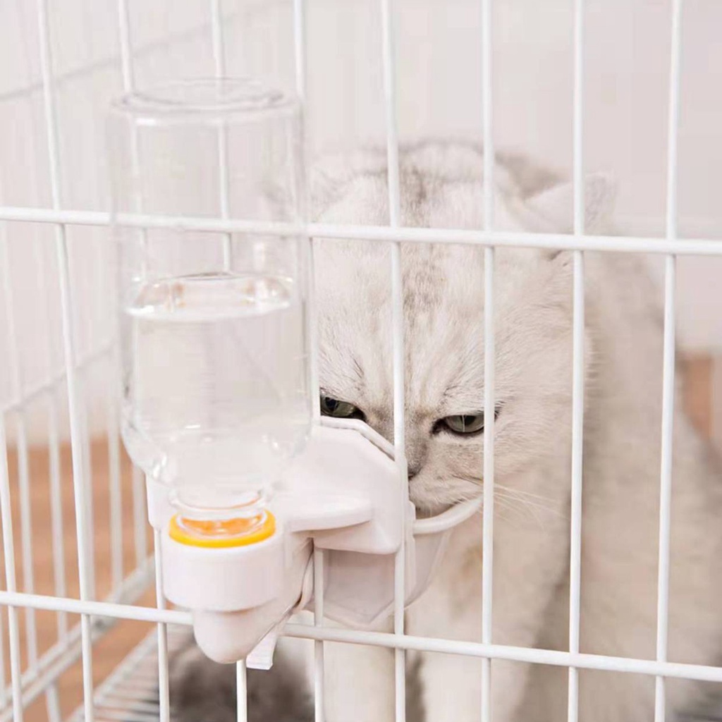 Bình Đựng Nước Uống Cho Thú Cưng