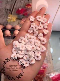 Hoa bột nail, cúc chi đính móng, Phụ Kiện nail