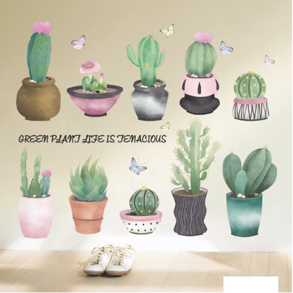 Decal dán tường - Xương Rồng Chậu ú