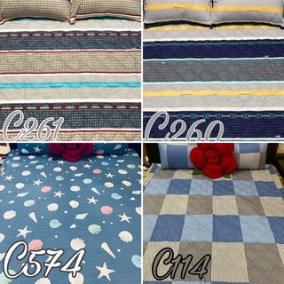 Bộ Ga Mền cotton Thắng Lợi (nệm <23p)