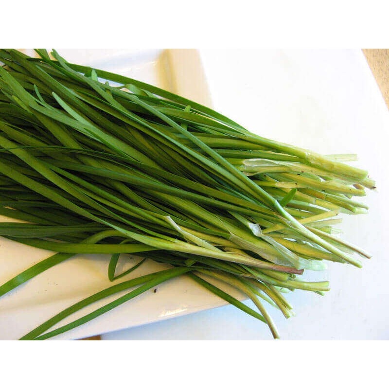 Hạt giống lá hẹ Tây - gói 1 gram