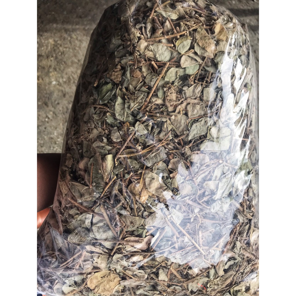 1Kg Kim Tiền Thảo [Hàng Chuẩn] - Rất Tốt Với Người Bị Sỏi Mật, Sỏi Thận