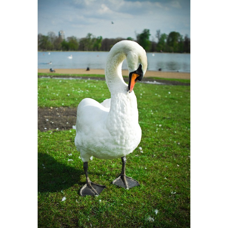 Ống kính máy ảnh Quantaray 28mm f1.8 AF Sony A  - 12925