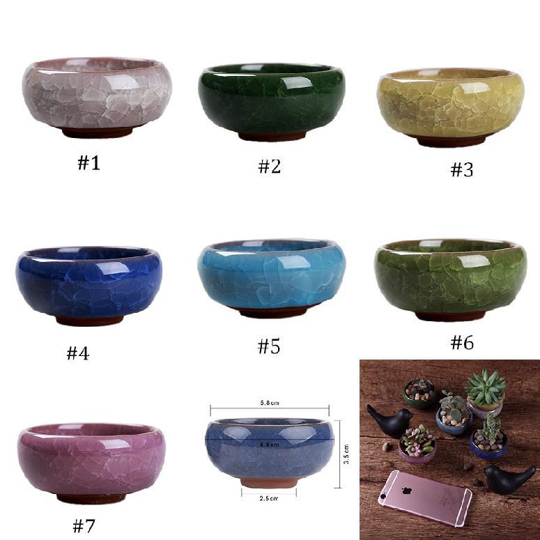 AFON Chậu mini cây bằng gốm sứ