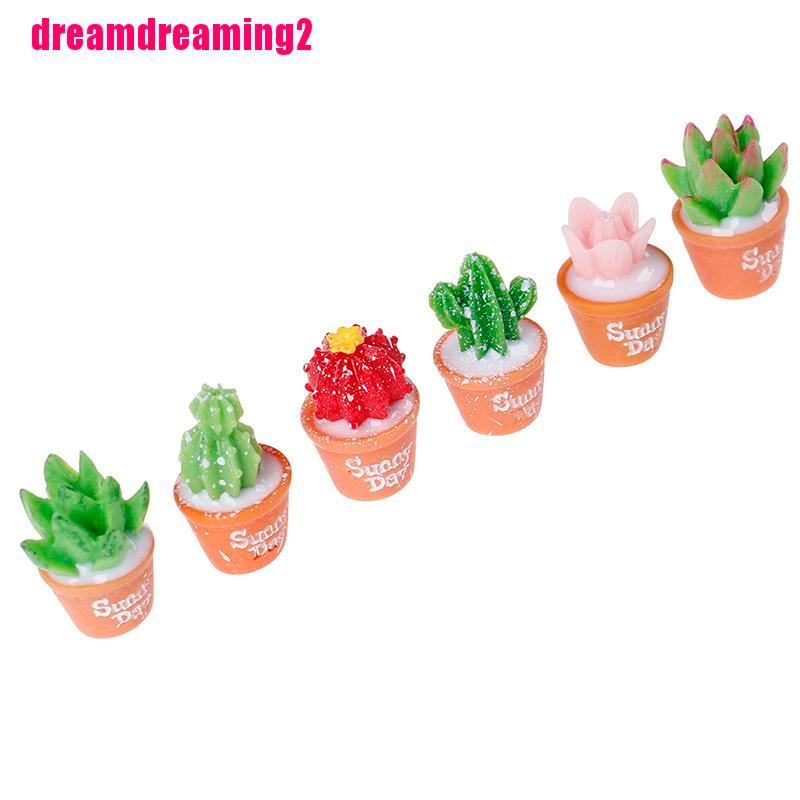 Bộ 5 Bức Tượng Xương Rồng mini Trang Trí