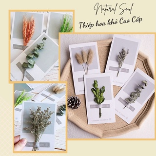 🌸Thiệp Chúc Mừng🌸 Trang Trí Hoa Khô Sang Trọng DIY - Shop Natural Soul