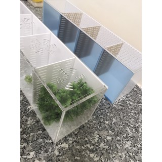Bể cá/ hồ show cá 4 ngăn ( giá tại xưởng)