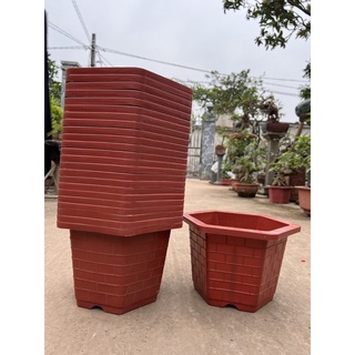 Chậu nhựa cao cấp hình lục giác đường kính 25,5cm