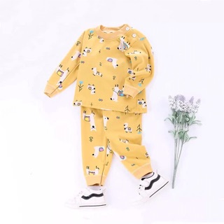 Combo 2 bộ cotton len