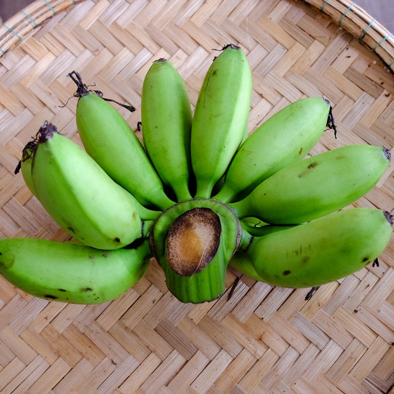 Chuối cau xanh cúng 30k 1 nải.