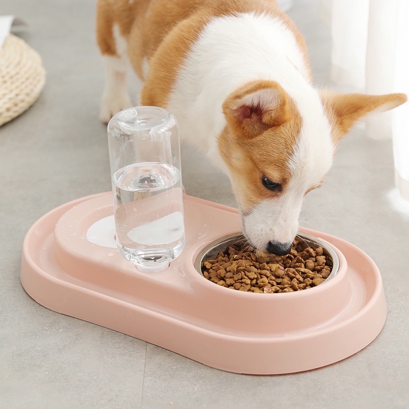 bát đôi chống kiến 400ml size lớn bát đôi chống gù cấp nước tự động