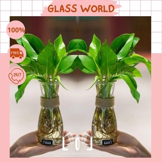 Bình thủy Tinh ♠ Loe Eo Vuông Nón ♠ đựng nước ép trồng cây đồ trang trí [RẺ VÔ ĐỊCH]